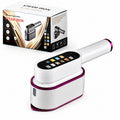 Handheld steamer
