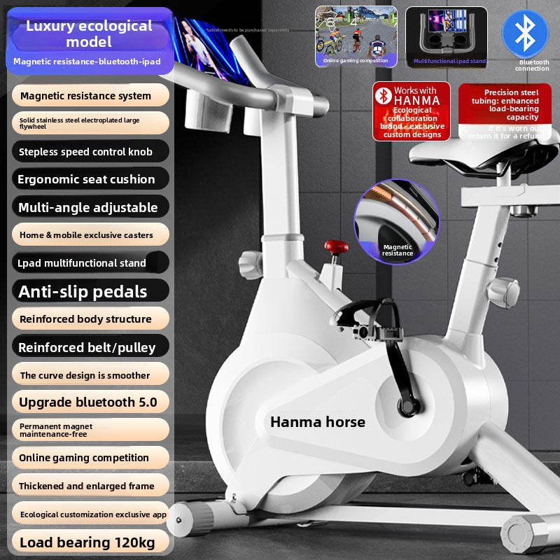 Magnetic Control Spinning Exercise Bike
