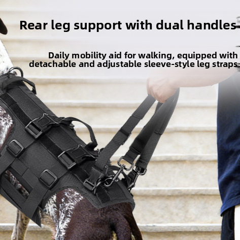Dog support belt