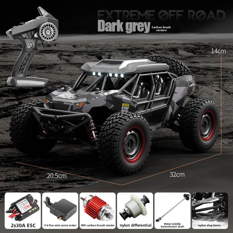 1:16 Scale RC Racing Car with Brushless Motor