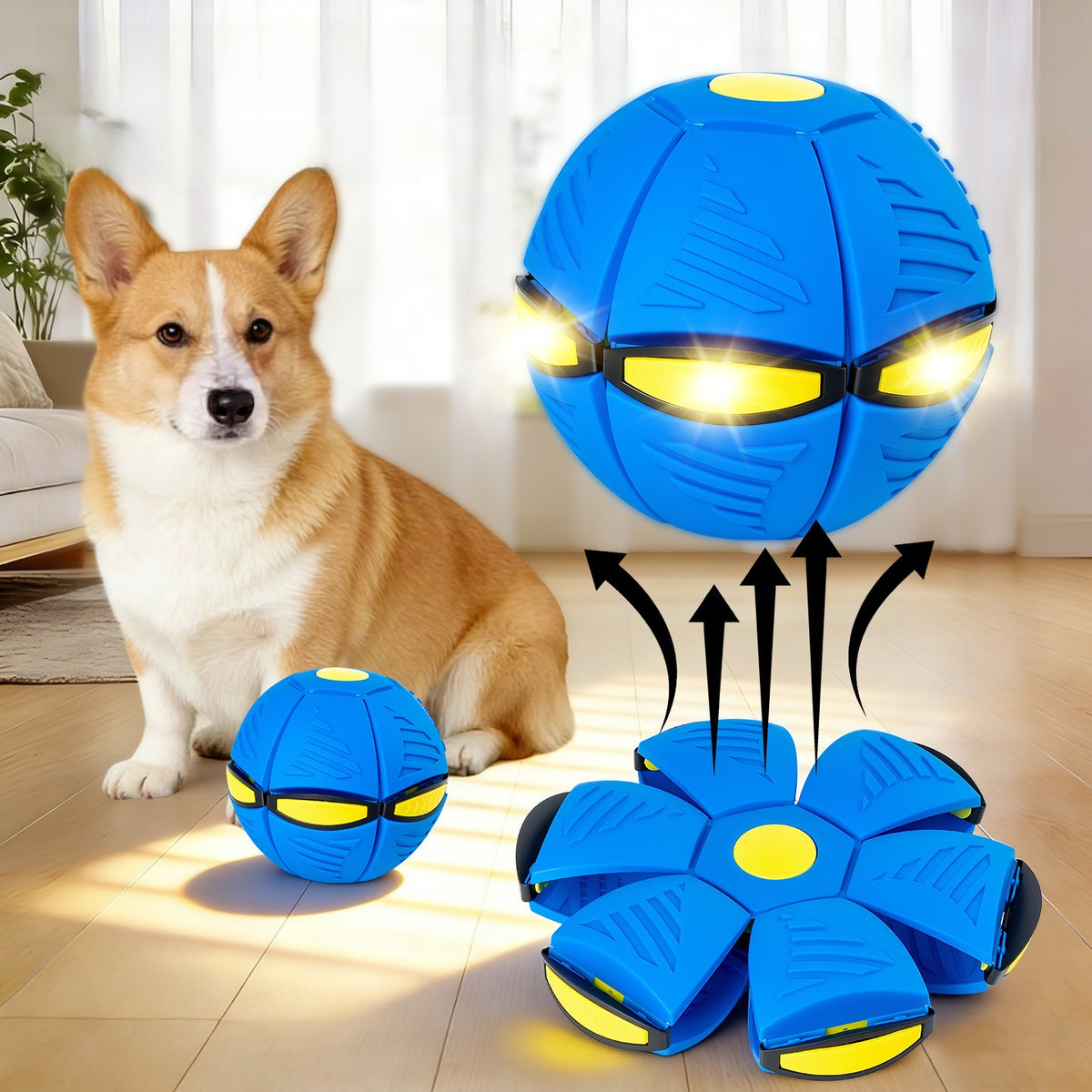 Magic Flying Saucer Ball