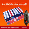 Car Electric Heating Blanket