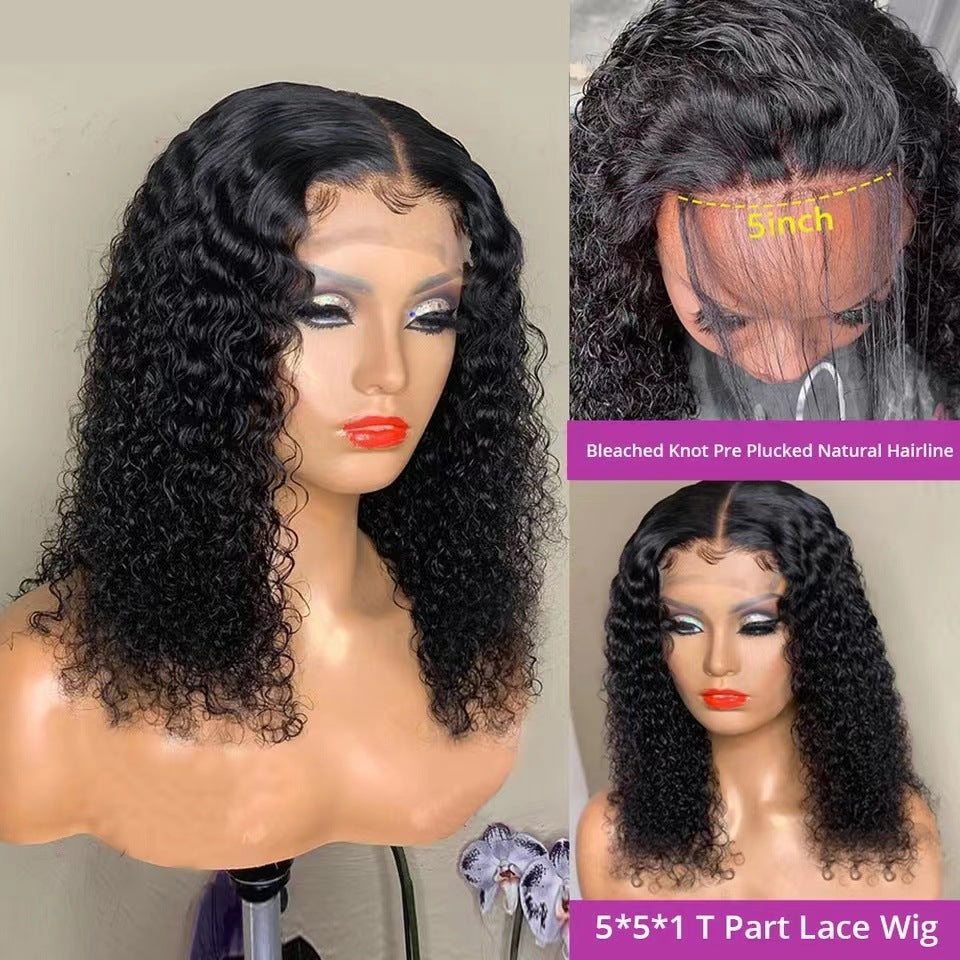 Lace Front Wig with Transparent Front, Adhesive-Free, High-Definition Human Hair