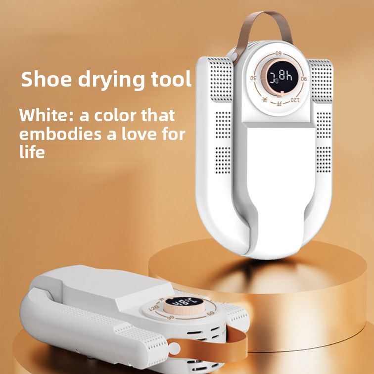 New Smart Shoe Dryer