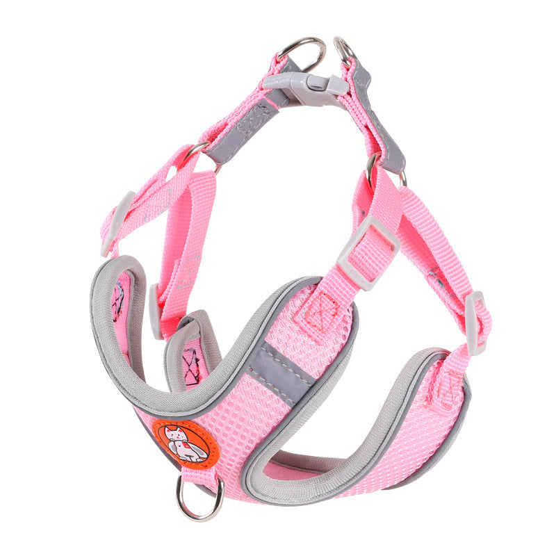 Dog Leash