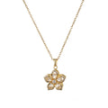 Rotating Bauhinia Flower Zircon Necklace