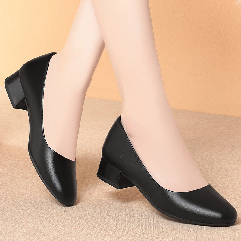 Womens Low Heel Professional Work Shoes