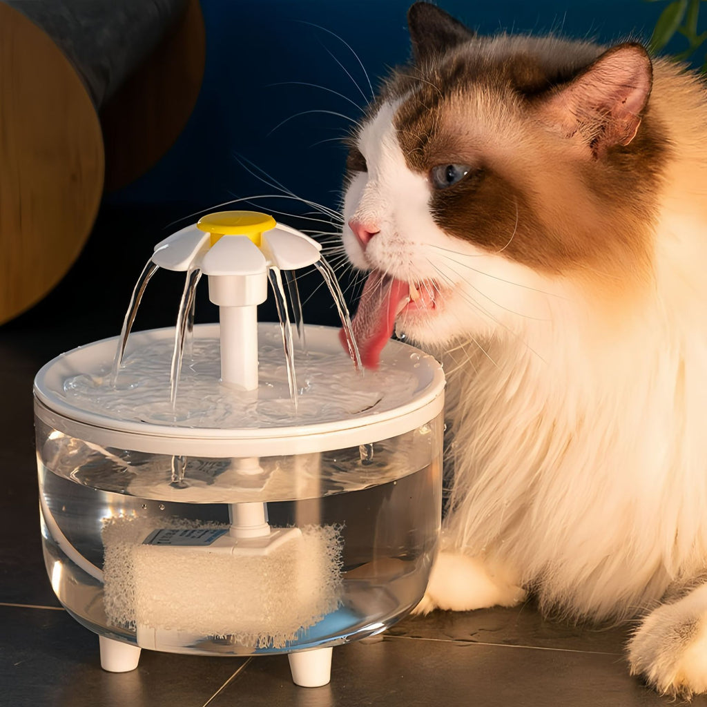 Automatic Circulating Pet Water Dispenser with Filtration System