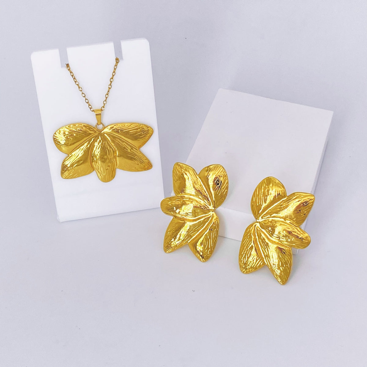 Stainless Steel Earrings and Necklace