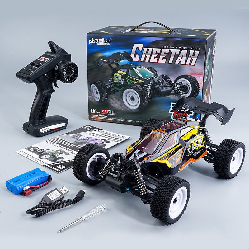 1:16 Scale RC Racing Car with Brushless Motor