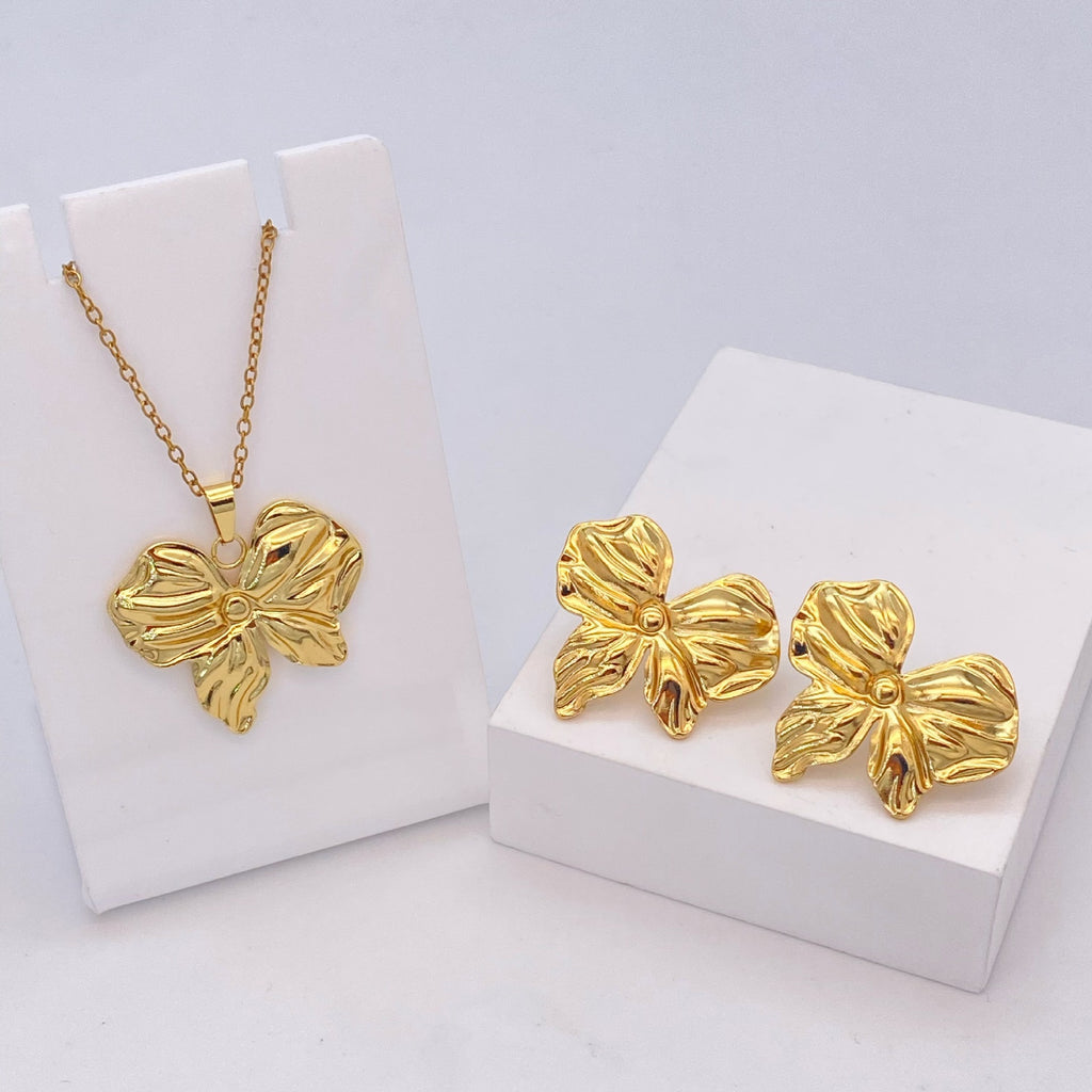 Stainless Steel Earrings and Necklace