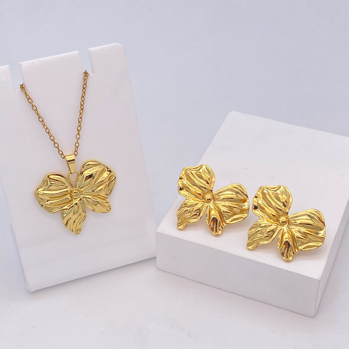 Stainless Steel Earrings and Necklace