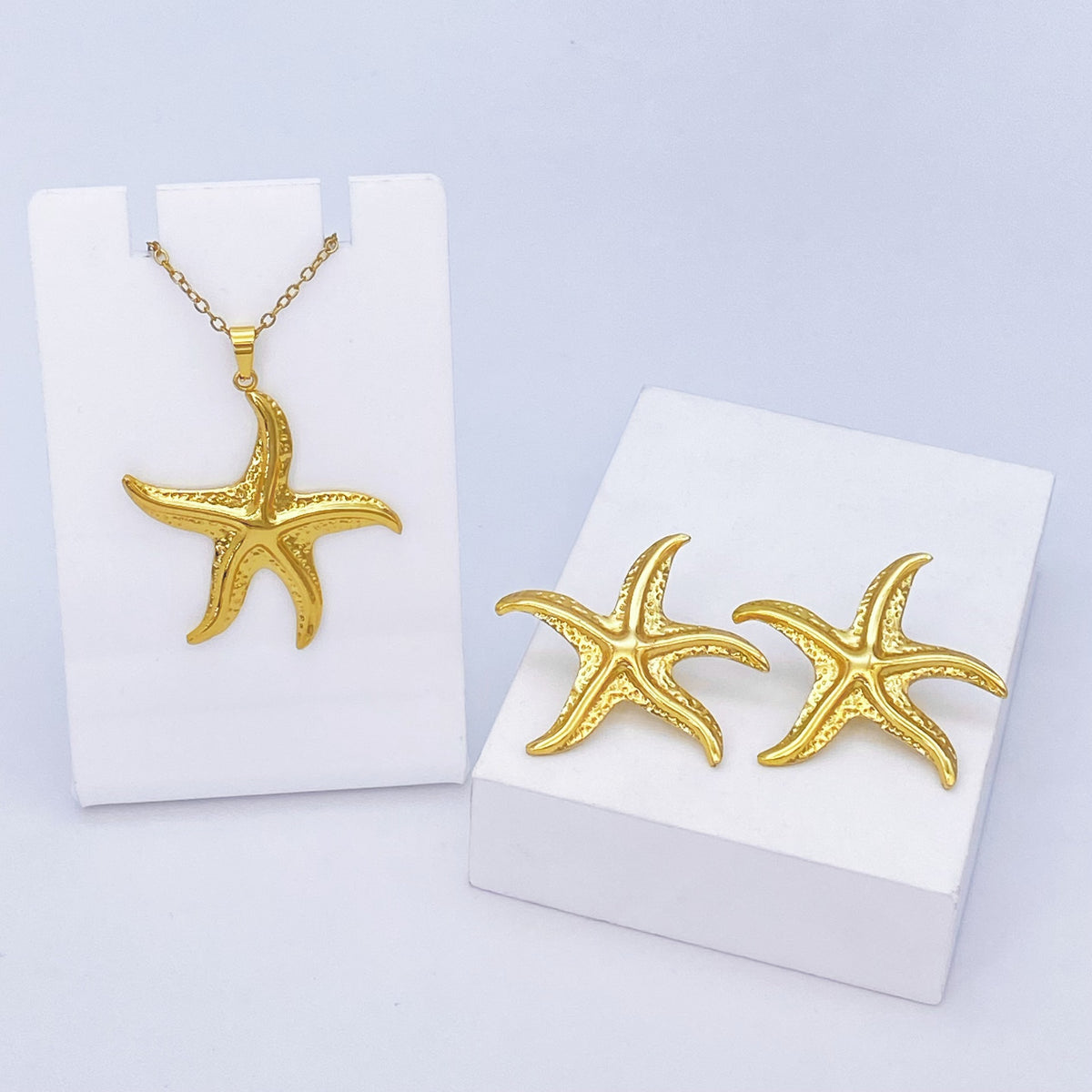 Stainless Steel Earrings and Necklace