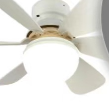 Smart Fan Light