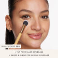 Blotting sponge brush