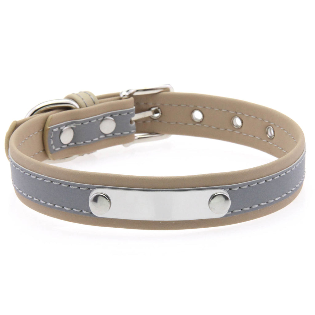 Stainless Steel Engraved Reflective Pet Collar with Leash
