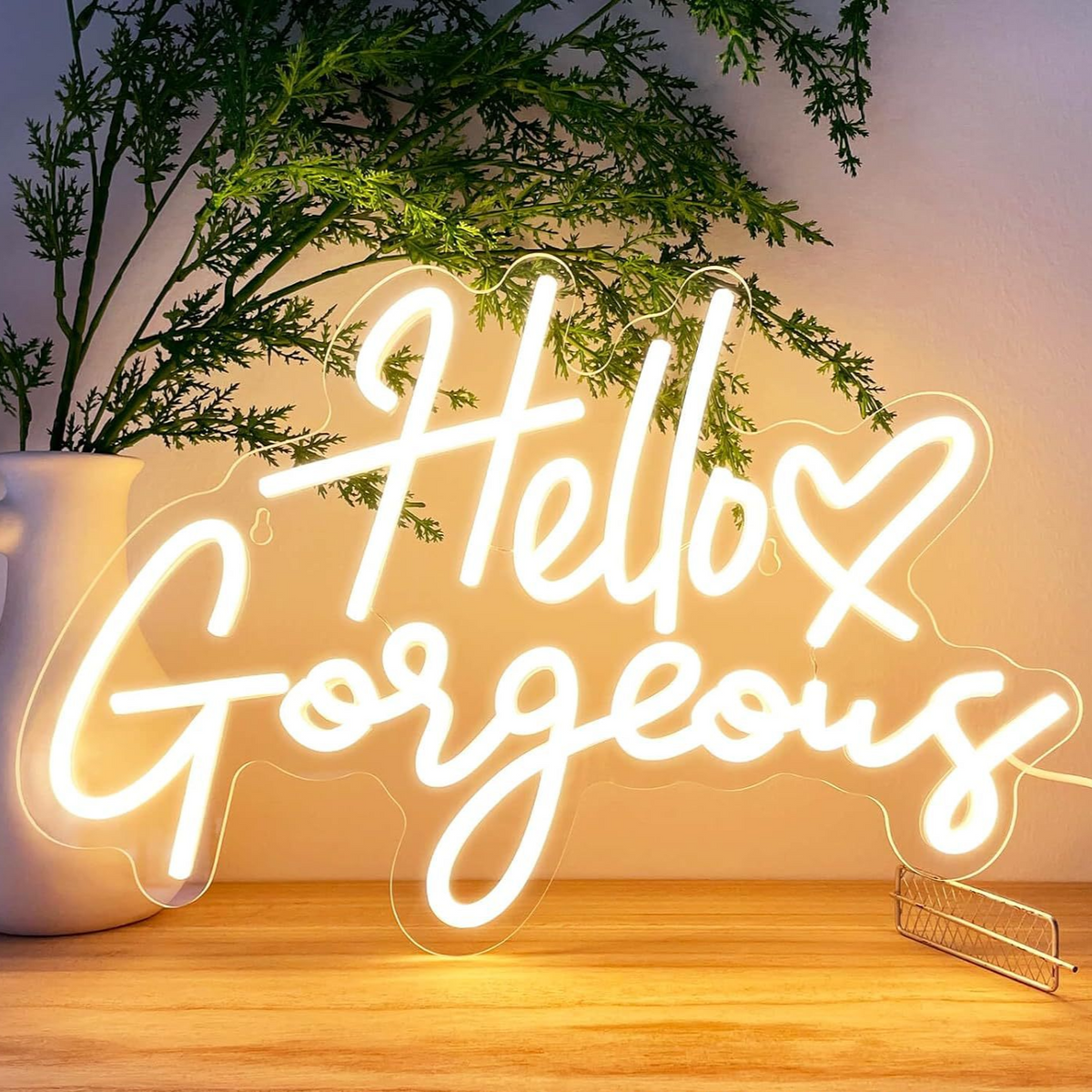 LED Neon Sign Wall Decor Acrylic Light