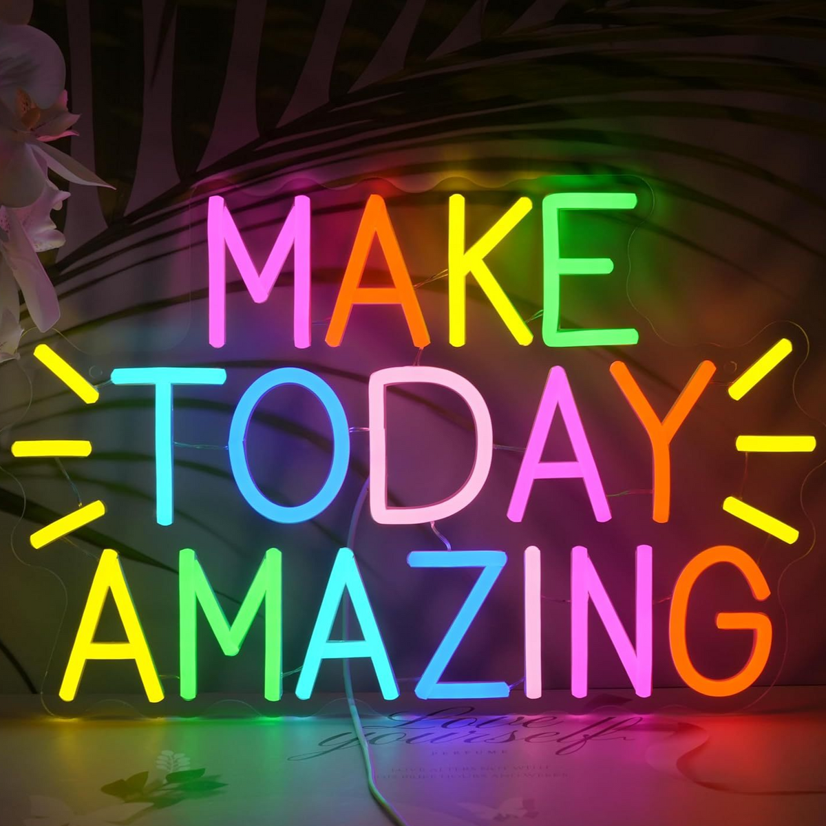 LED Neon Sign Wall Decor Acrylic Light