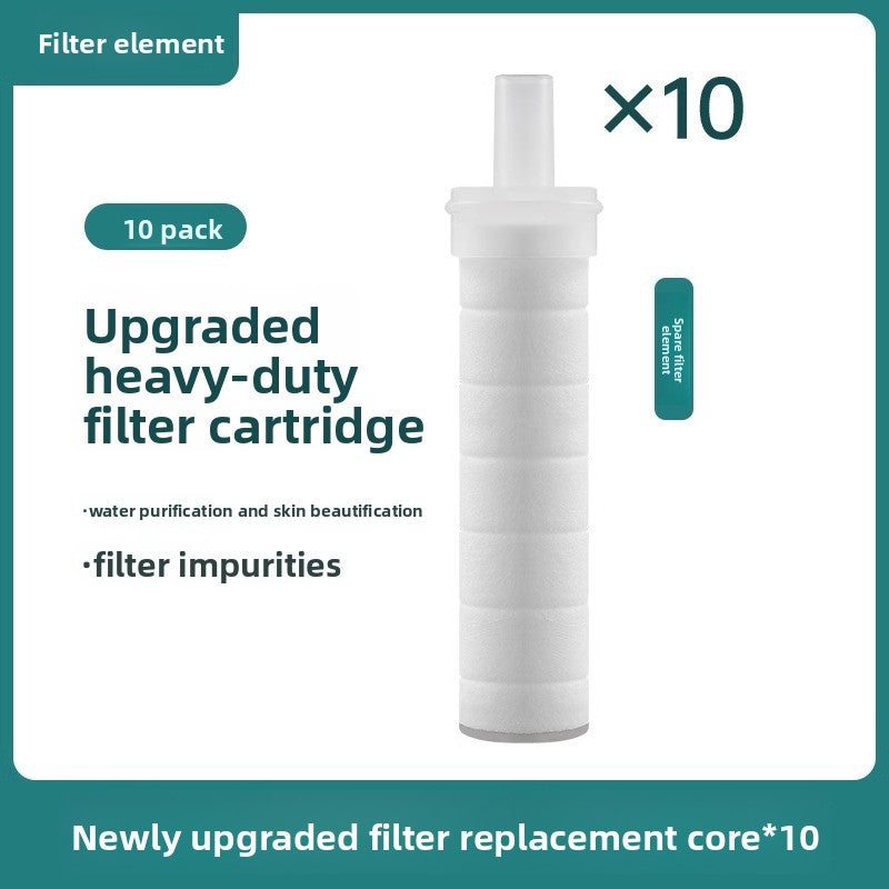 Filter Shower Head