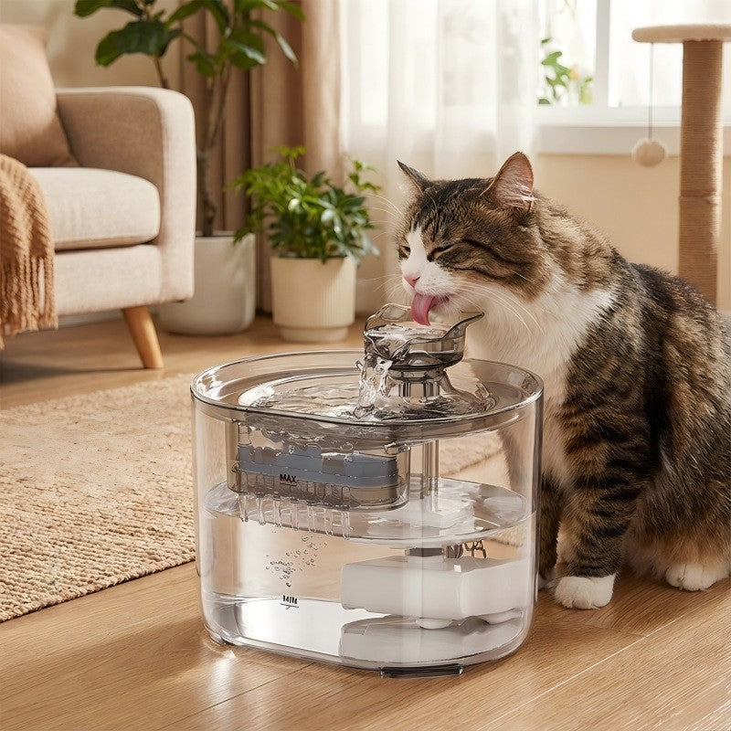 Automatic Circulating Pet Water Dispenser with Filtration System