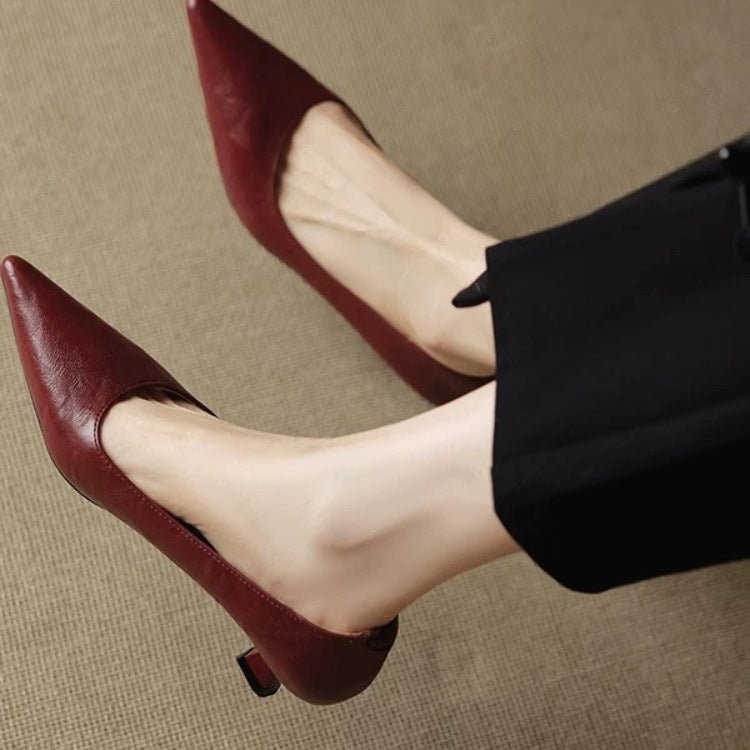Elegant Pointed Toe Low Heel Shoes