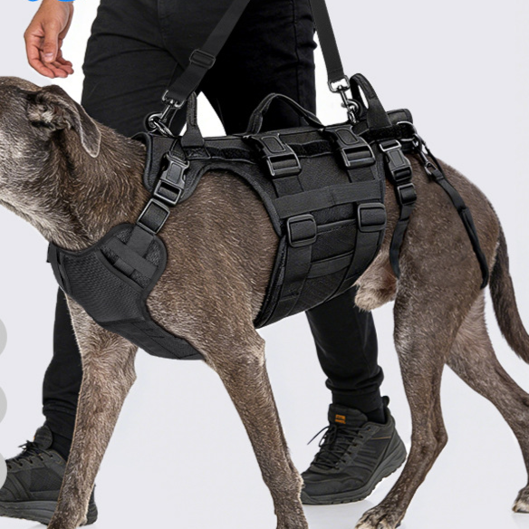 Dog support belt