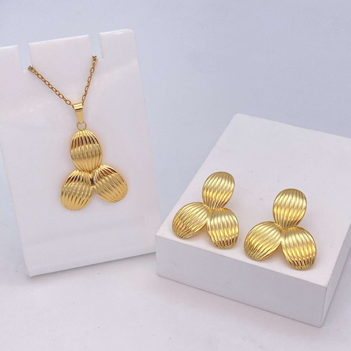Stainless Steel Earrings and Necklace