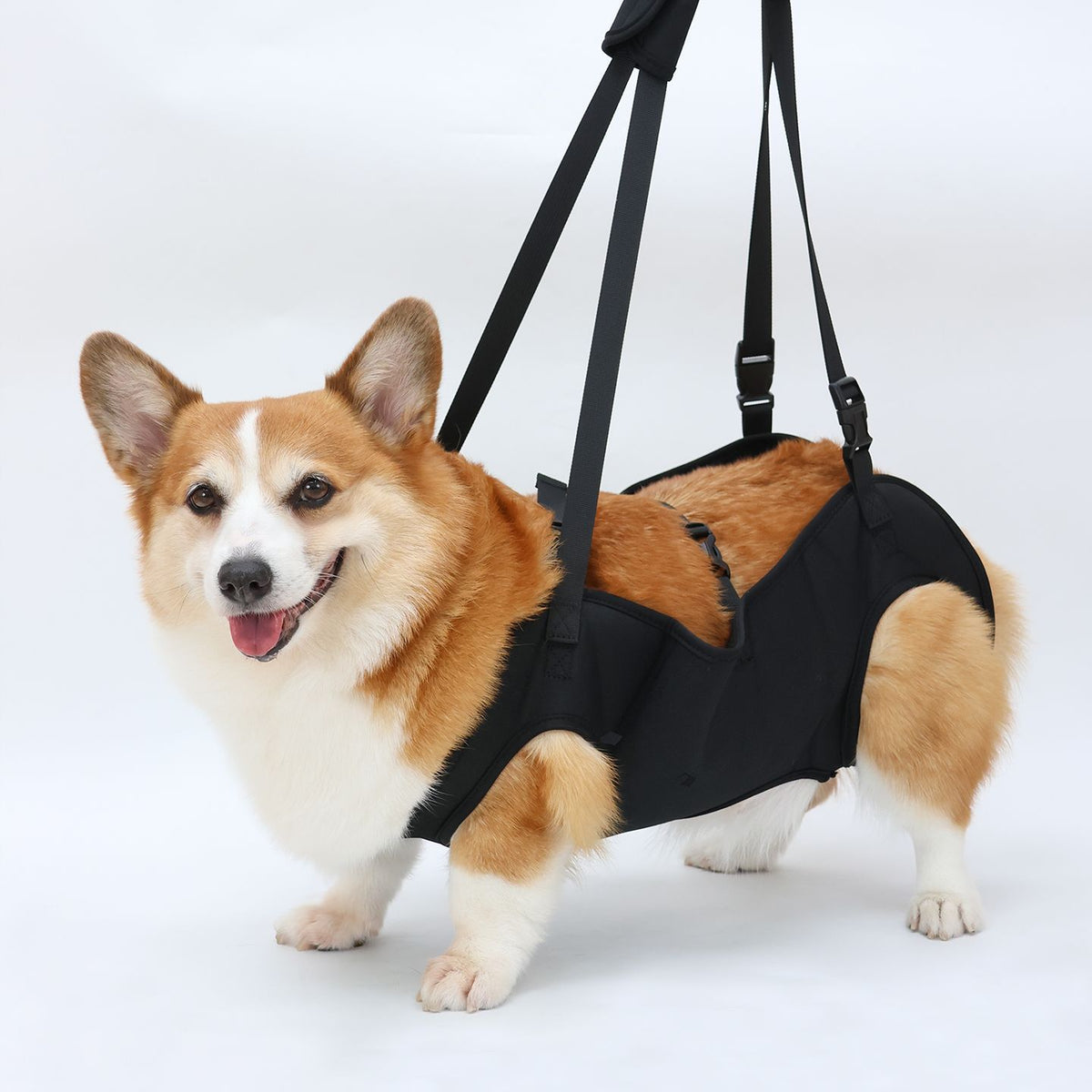 Adjustable Dog Support Harness for Elderly and Injured Pets