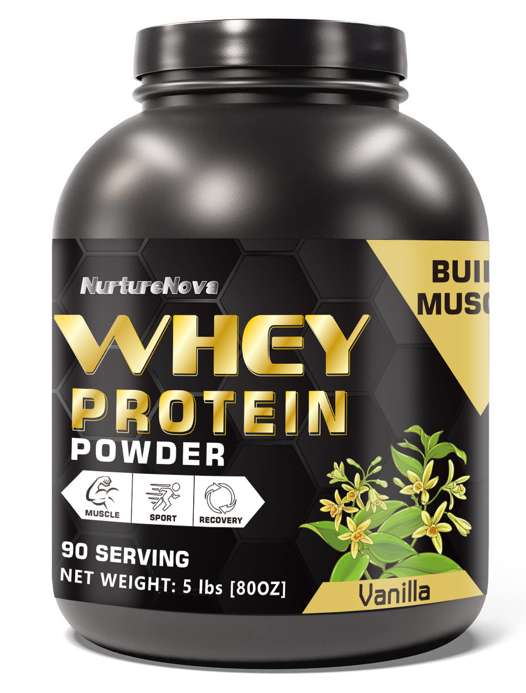 Whey Protein Powder 5Lbs Chocolate Strawberry Vanilla Matcha