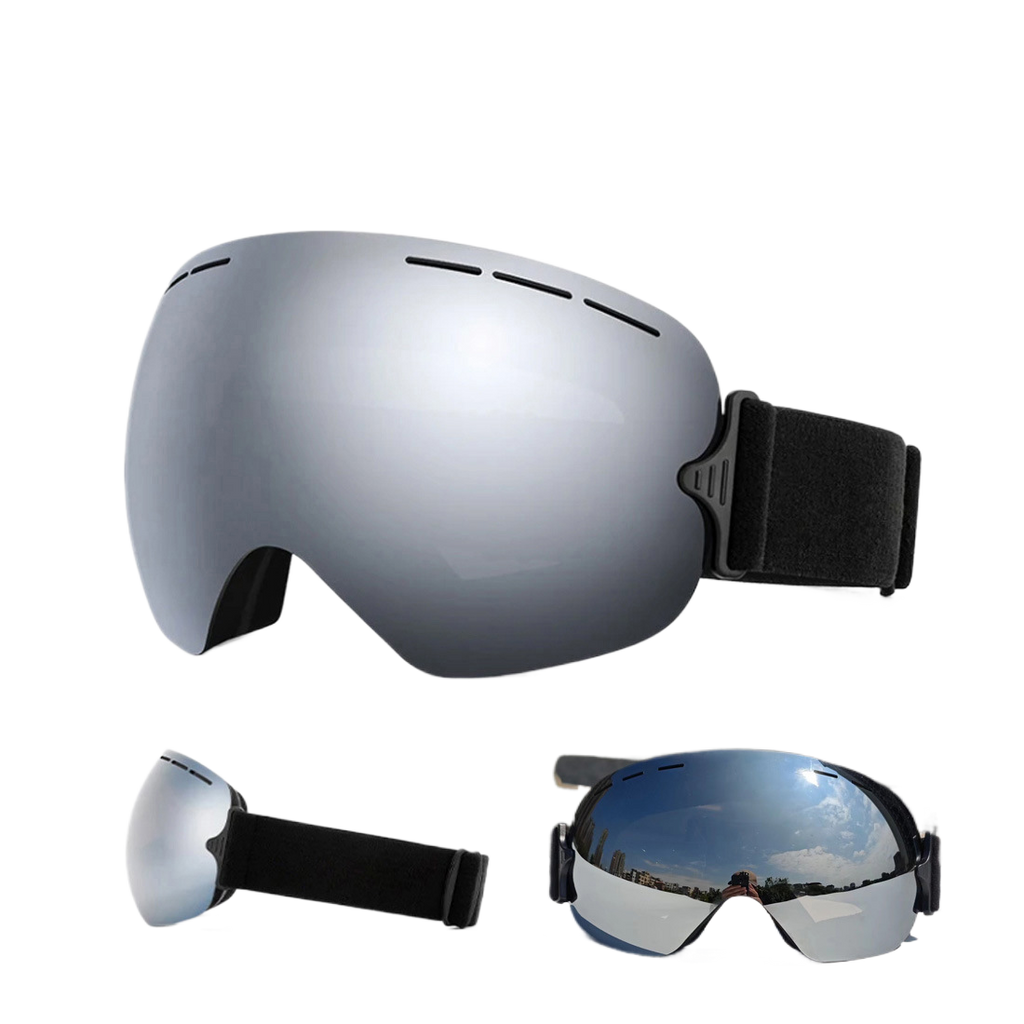 Ski Goggles