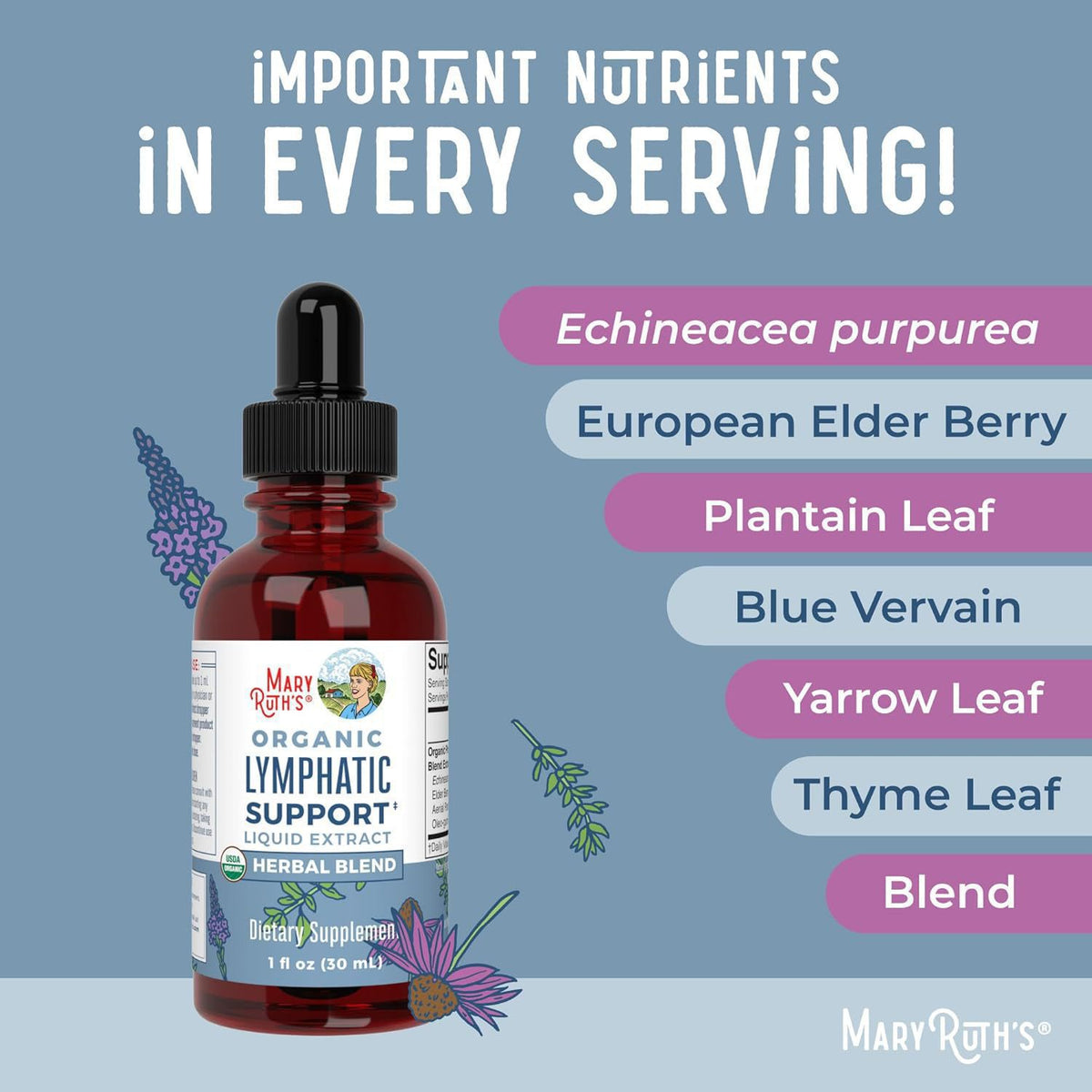 Echinacea Elderberry Blue Verbena Liquid Drops
