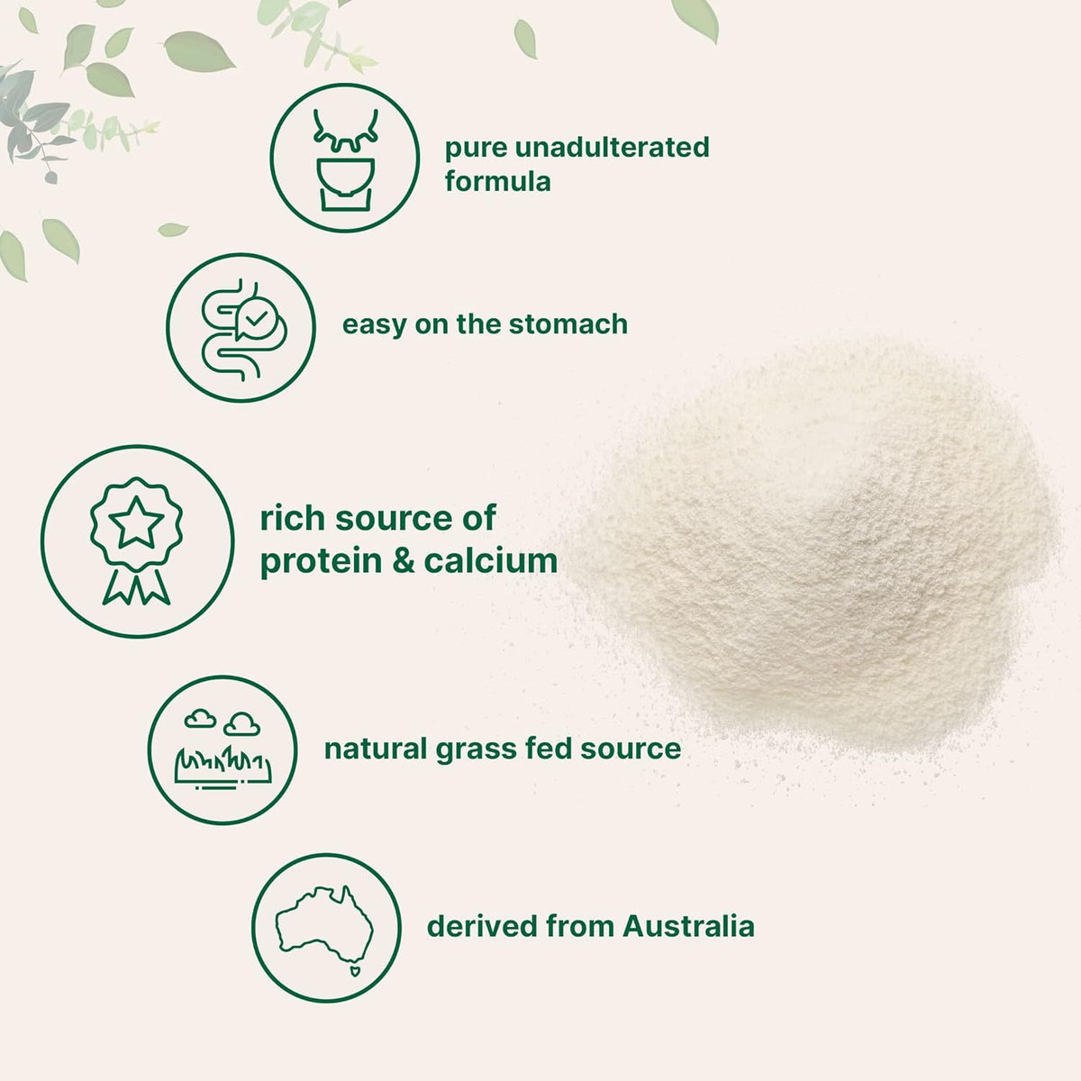 Sheep milk powder dietary nutritional supplement