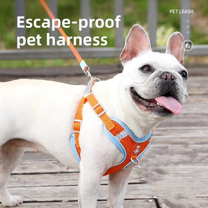 Dog Leash