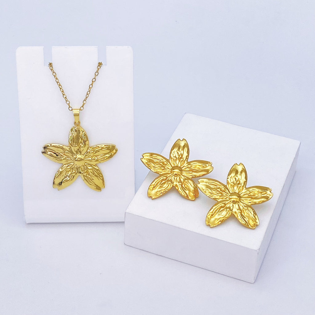 Stainless Steel Earrings and Necklace