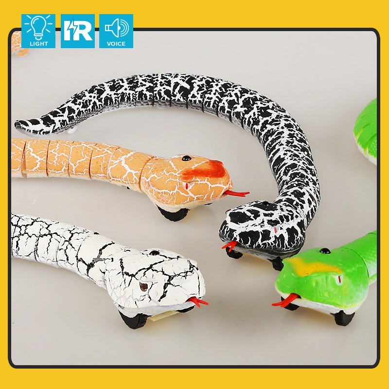 Remote Control Snake