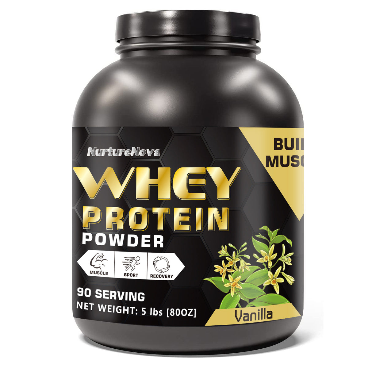 Whey Protein Powder 5Lbs Chocolate Strawberry Vanilla Matcha