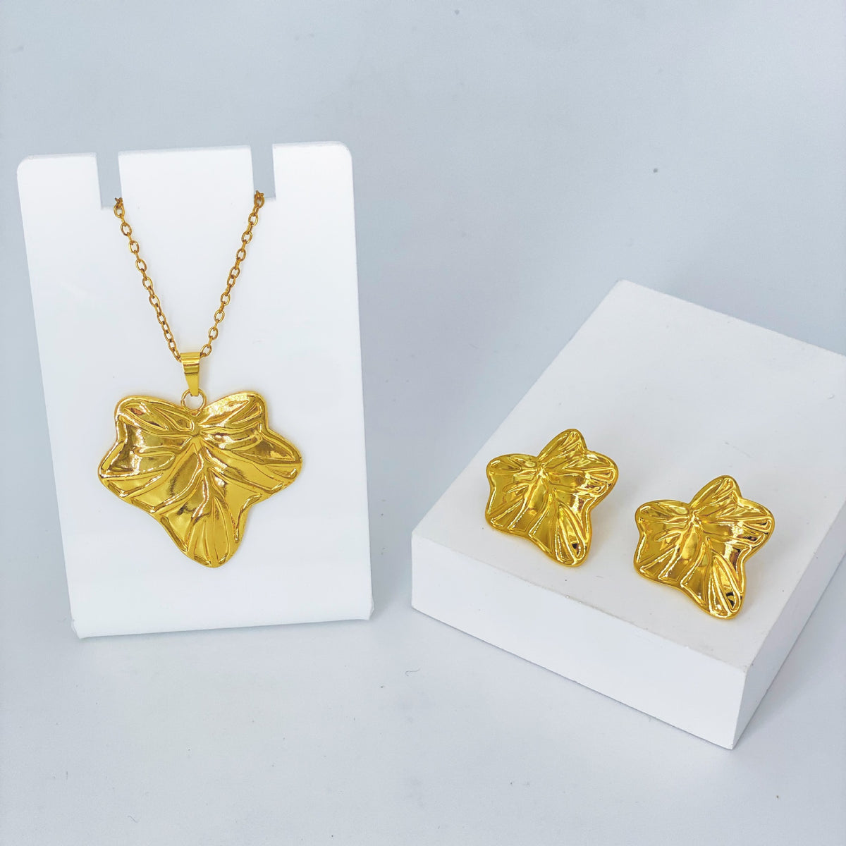 Stainless Steel Earrings and Necklace