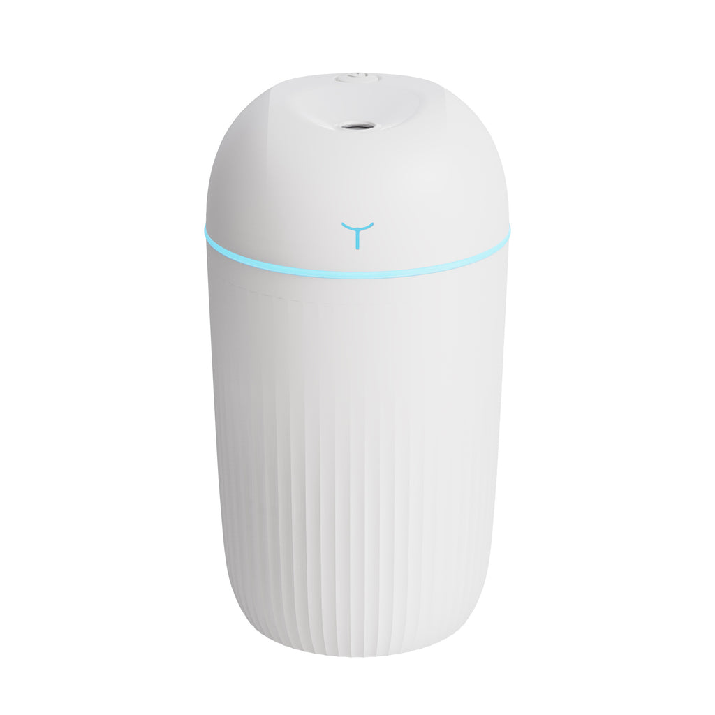 Portable USB Humidifier with Night Light