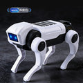Educational DIY Light-Up Robot Dog Toy
