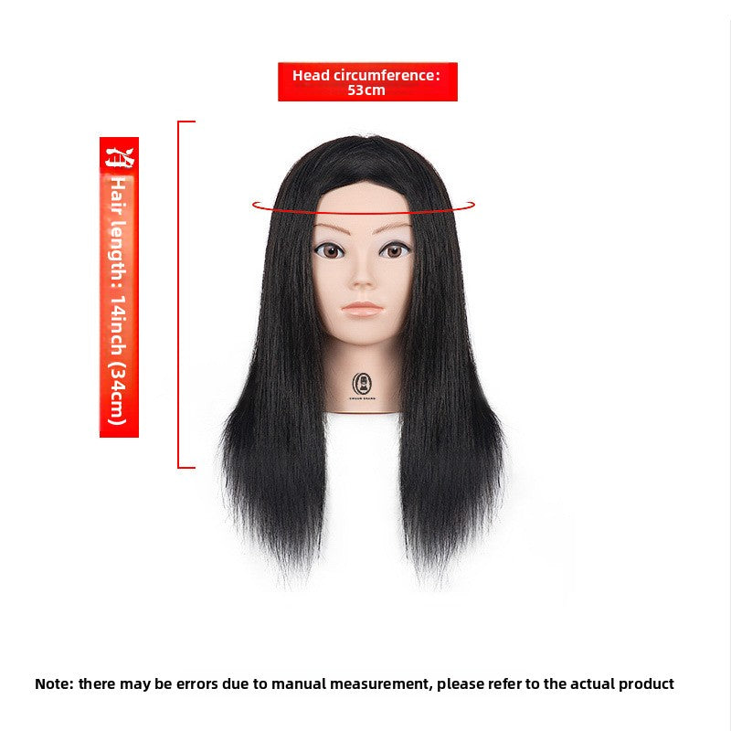 Human Hair Styling Mannequin Head with Shoulder