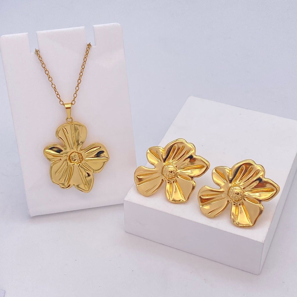 Stainless Steel Earrings and Necklace