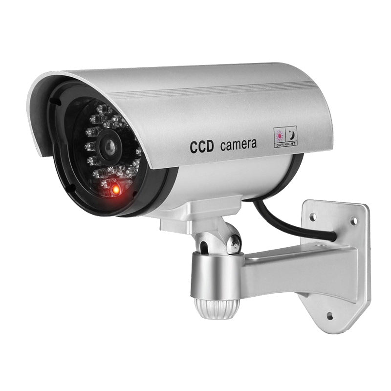 Simulated camera