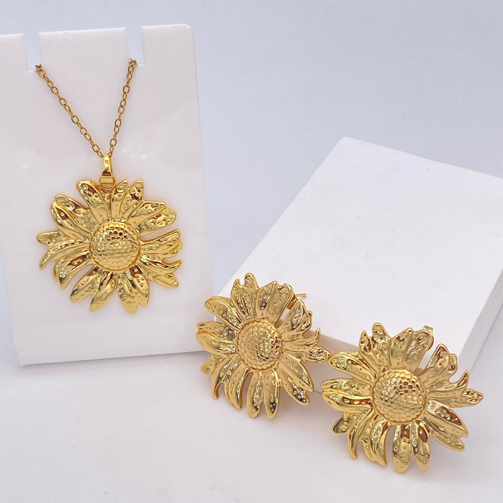 Stainless Steel Earrings and Necklace