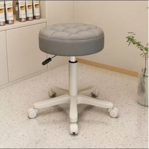 Adjustable Swivel Hairdressing Chair