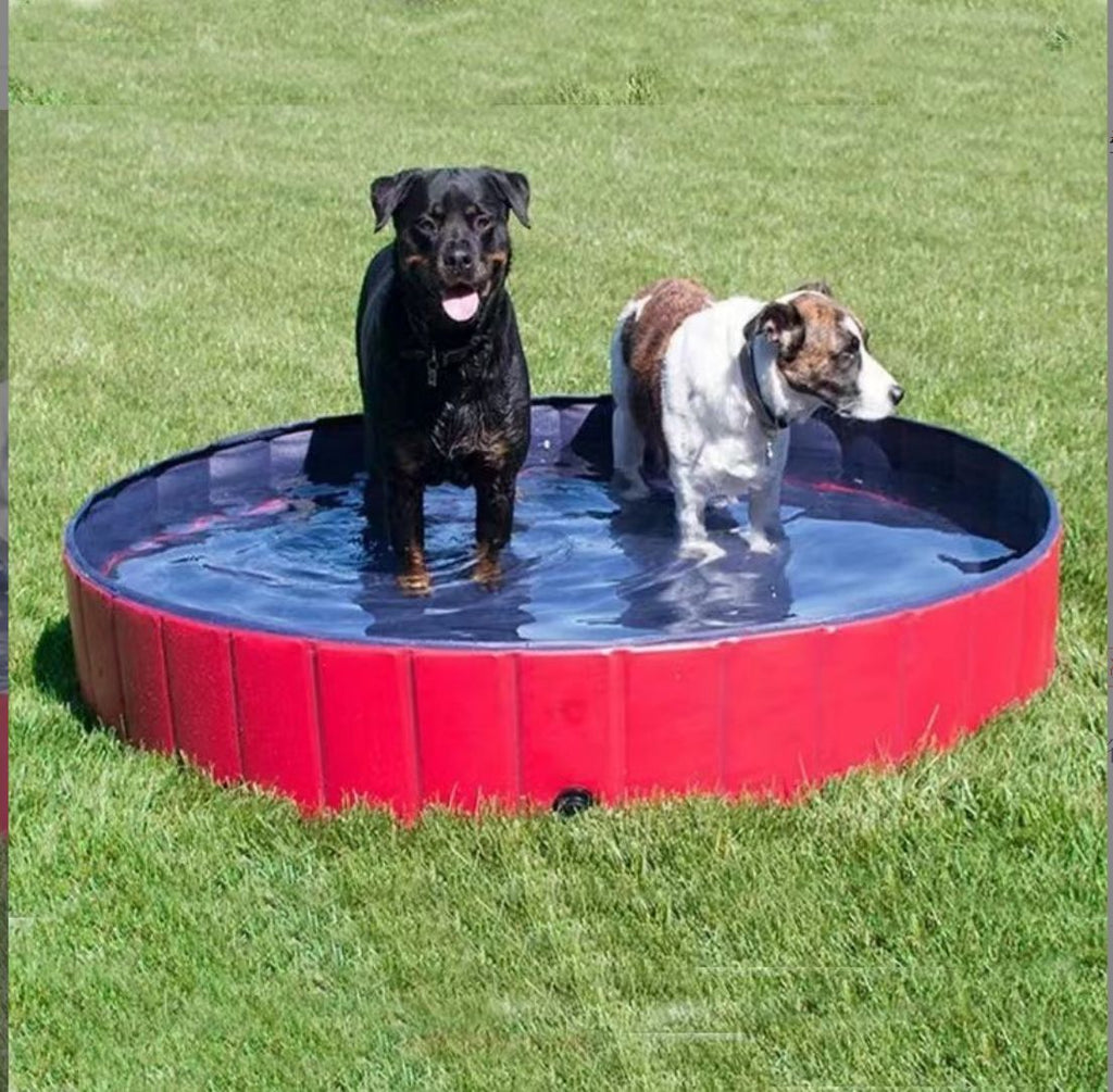 Foldable Pet Bath Tub Swimming Pool