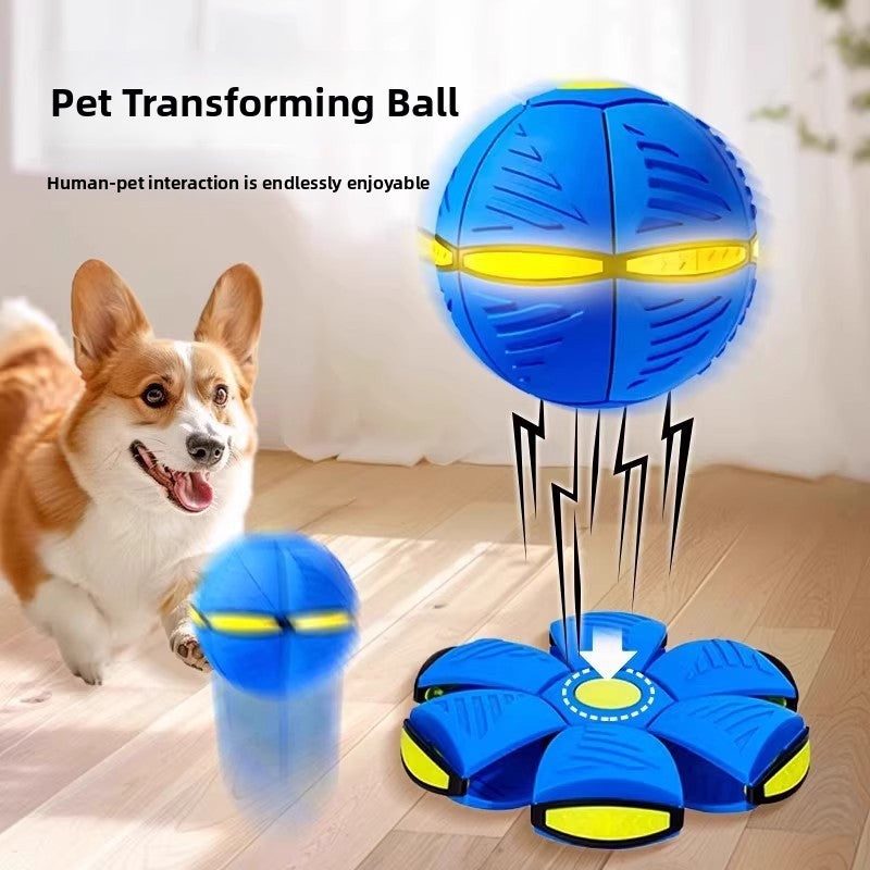 Automatic dog toy for dog walking