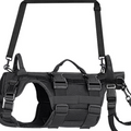 Dog support belt