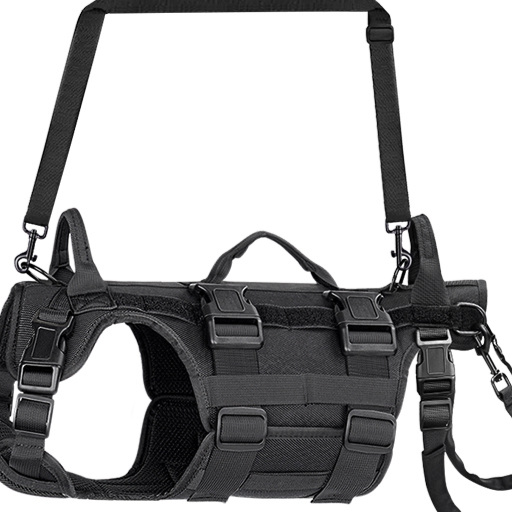 Dog support belt