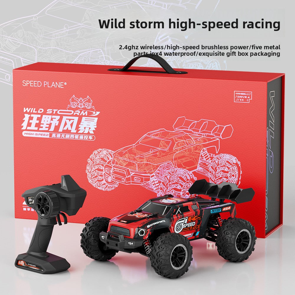 Professional RC Remote Control Car