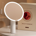 LED makeup mirror